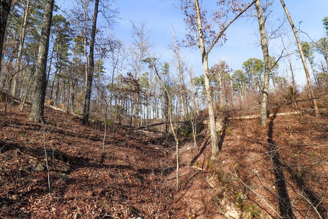 000 County Road 179, Dora, MO 65637 - photo 20