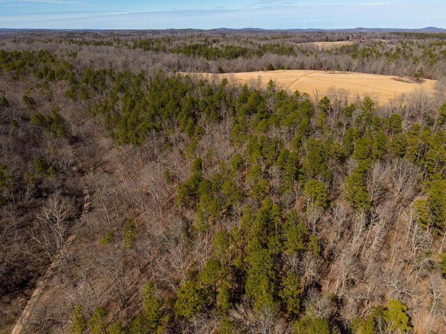 000 County Road 179, Dora, MO 65637 - photo 17