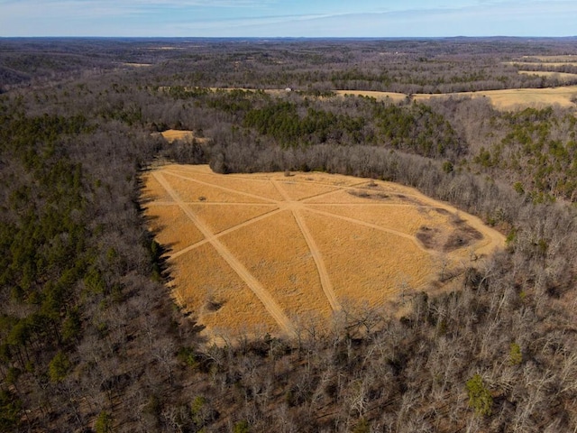 000 County Road 179, Dora, MO 65637 - photo 14