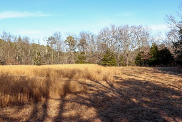 000 County Road 179, Dora, MO 65637 - photo 46