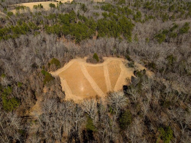 000 County Road 179, Dora, MO 65637 - photo 9