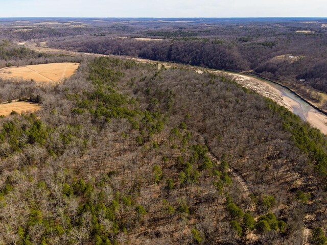 000 County Road 179, Dora, MO 65637 - photo 4