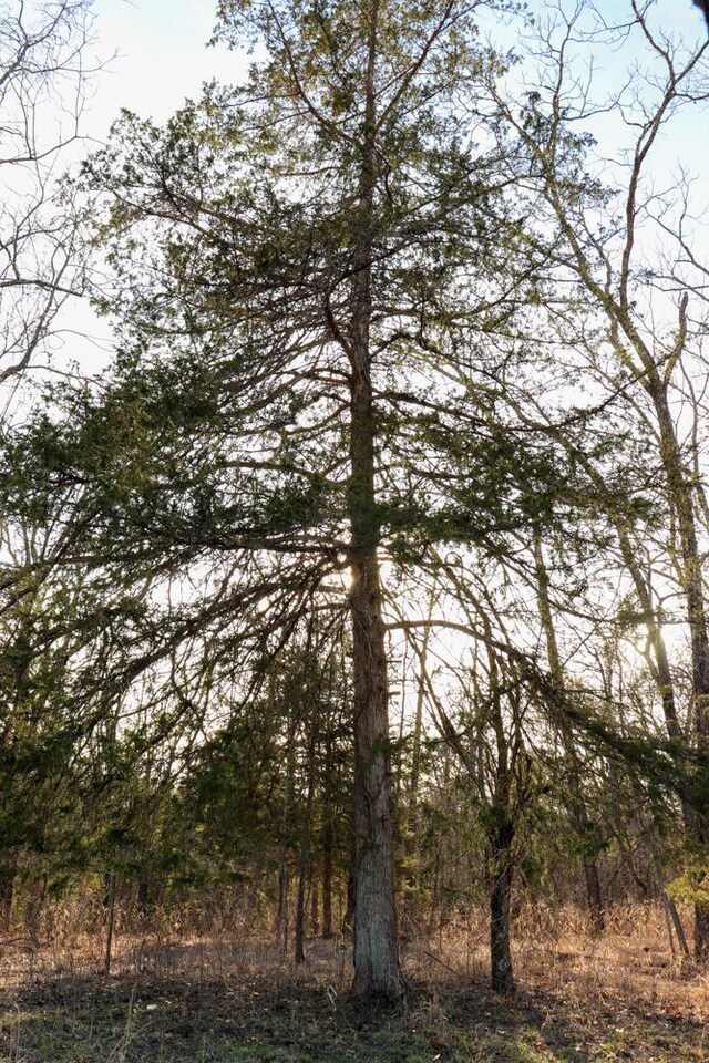 000 County Road 179, Dora, MO 65637 - photo 53