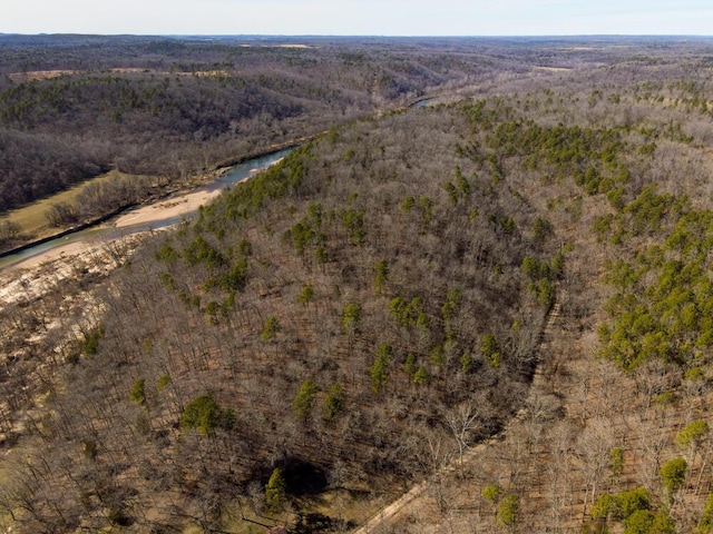 000 County Road 179, Dora, MO 65637 - photo 16