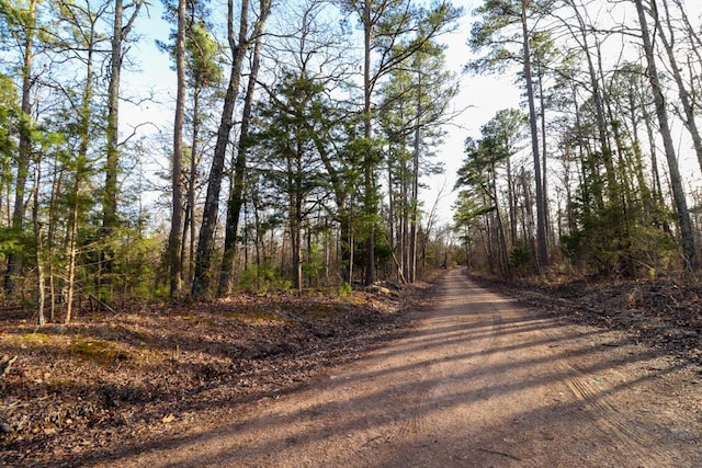 000 County Road 179, Dora, MO 65637 - photo 62