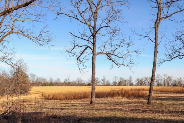 000 County Road 179, Dora, MO 65637 - photo 51