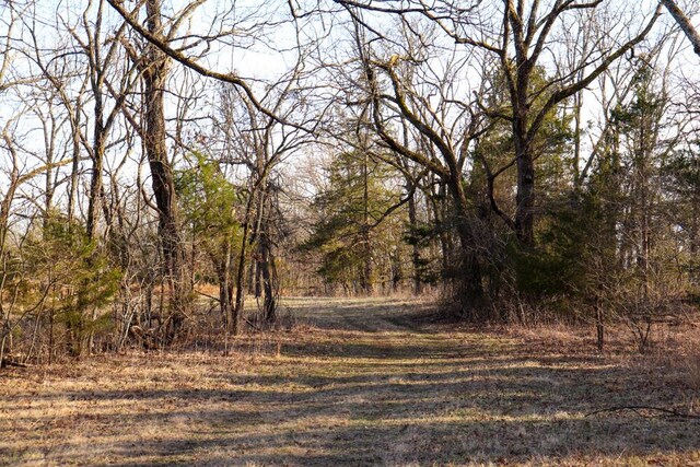 000 County Road 179, Dora, MO 65637 - photo 48