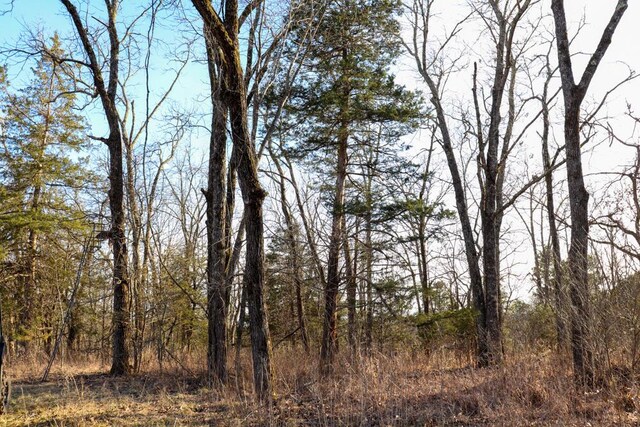 000 County Road 179, Dora, MO 65637 - photo 52
