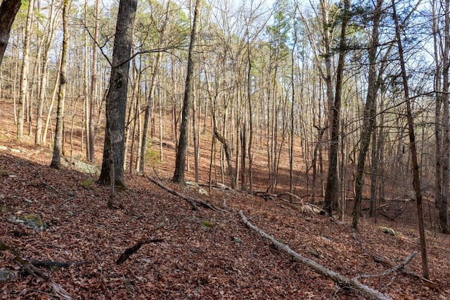 000 County Road 179, Dora, MO 65637 - photo 43