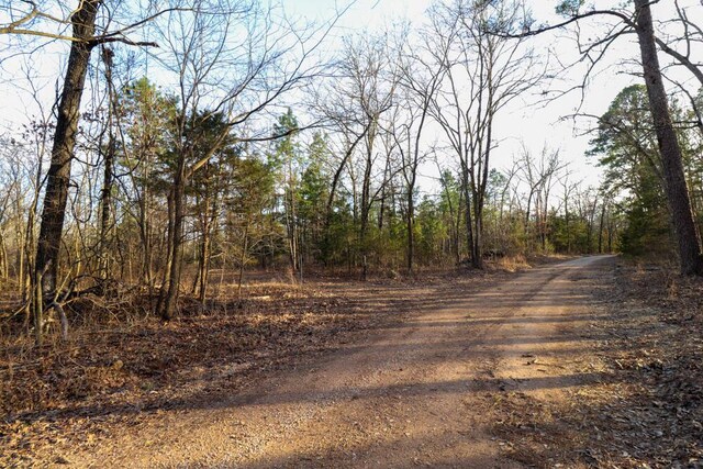 000 County Road 179, Dora, MO 65637 - photo 60