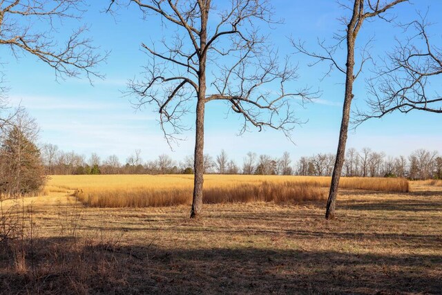 000 County Road 179, Dora, MO 65637 - photo 50