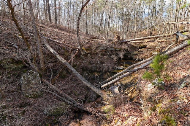 000 County Road 179, Dora, MO 65637 - photo 28