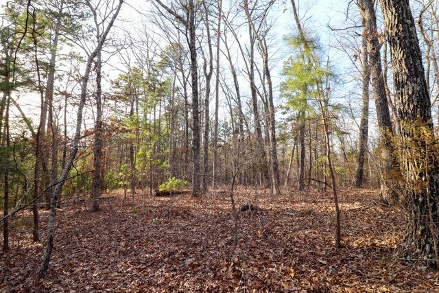 000 County Road 179, Dora, MO 65637 - photo 58