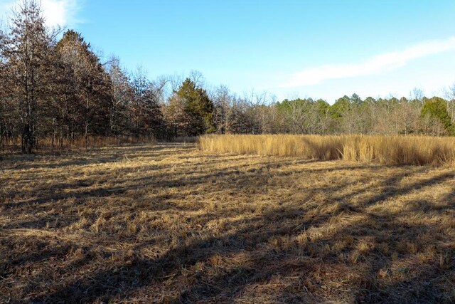000 County Road 179, Dora, MO 65637 - photo 45
