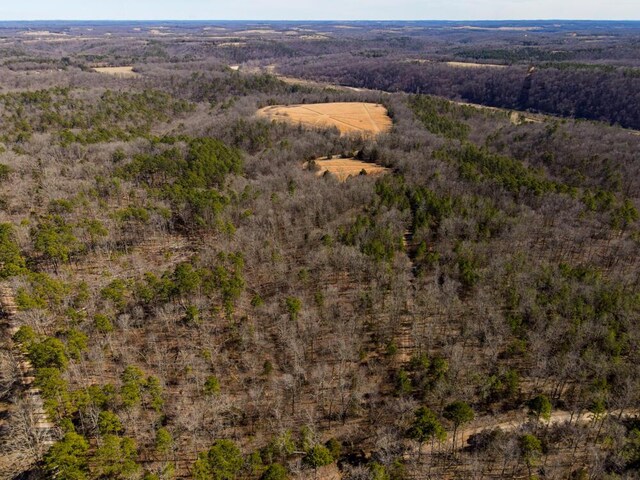 000 County Road 179, Dora, MO 65637 - photo 3