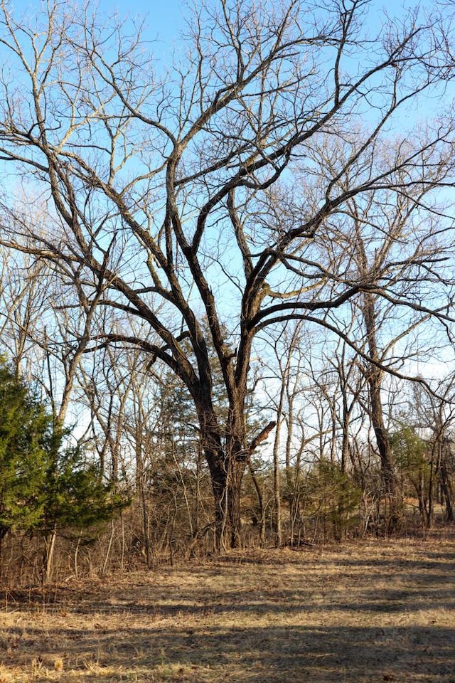 000 County Road 179, Dora, MO 65637 - photo 49