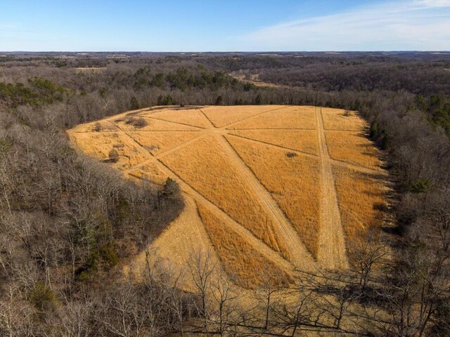 000 County Road 179, Dora, MO 65637 - photo 12