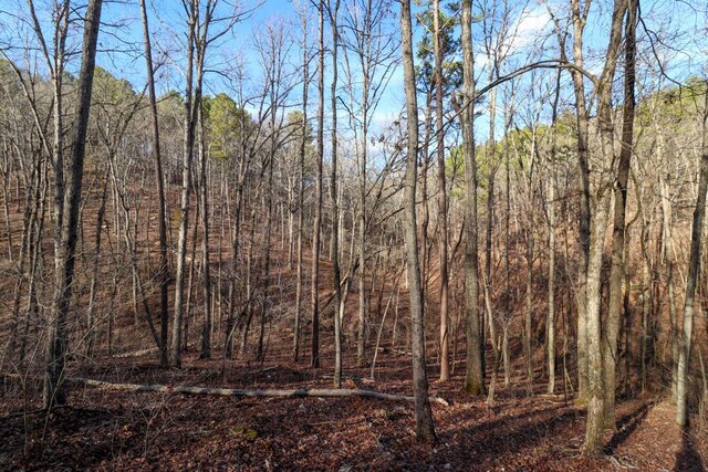 000 County Road 179, Dora, MO 65637 - photo 31