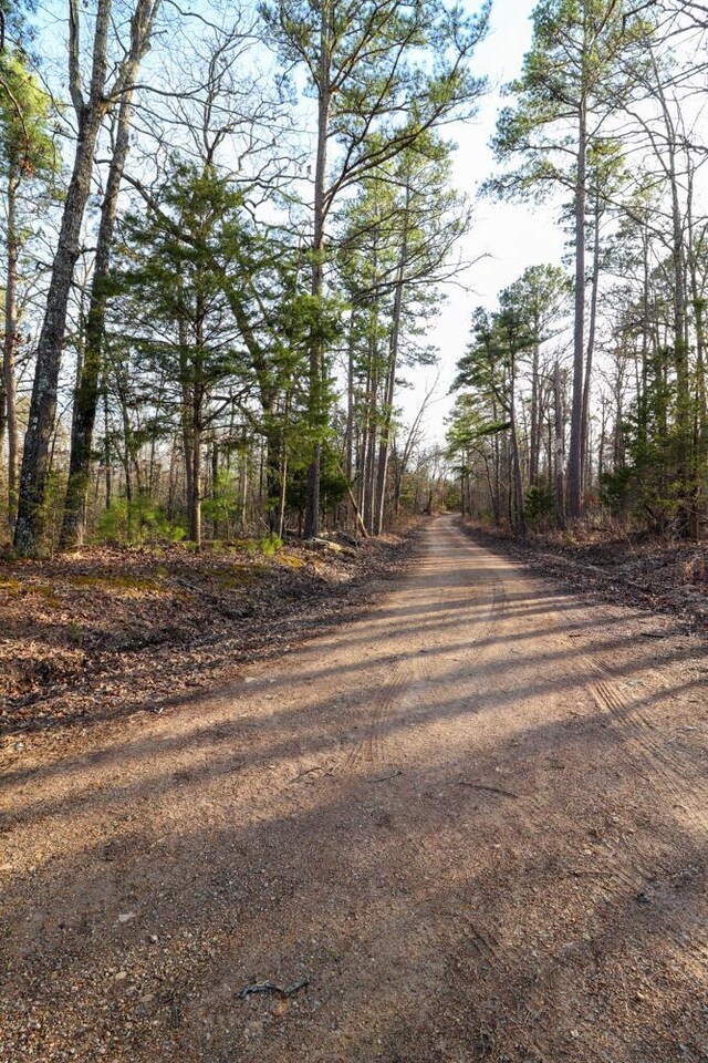 000 County Road 179, Dora, MO 65637 - photo 61