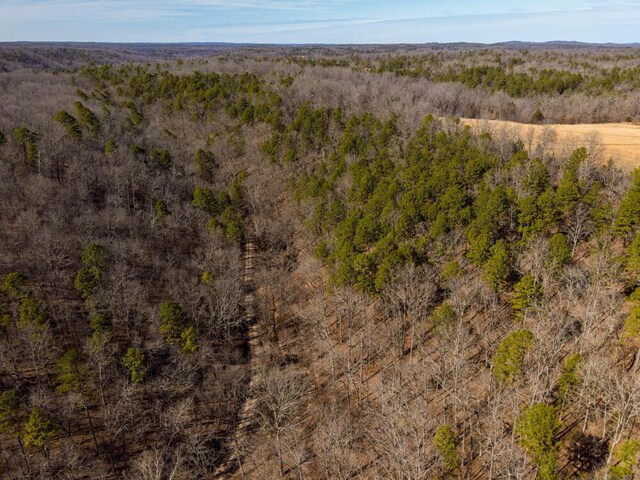 000 County Road 179, Dora, MO 65637 - photo 18