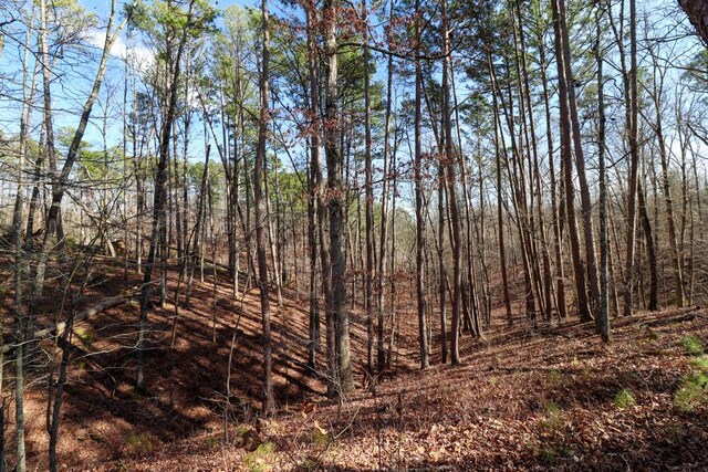 000 County Road 179, Dora, MO 65637 - photo 24