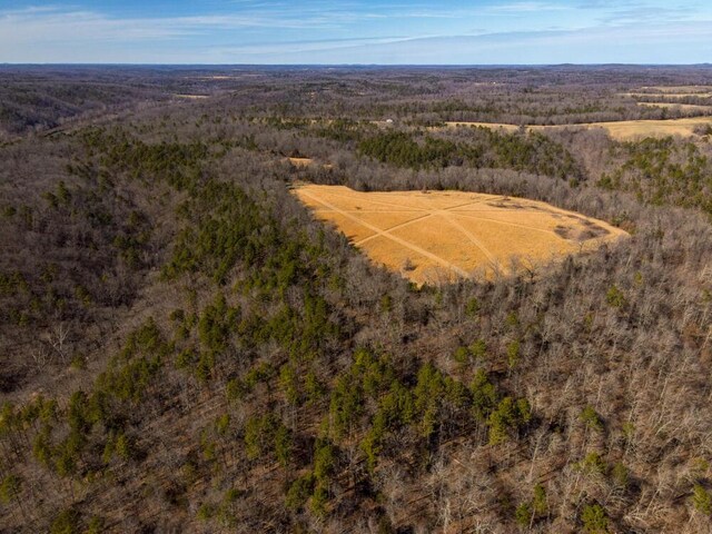 000 County Road 179, Dora, MO 65637 - photo 15