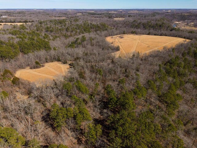 000 County Road 179, Dora, MO 65637 - photo 8