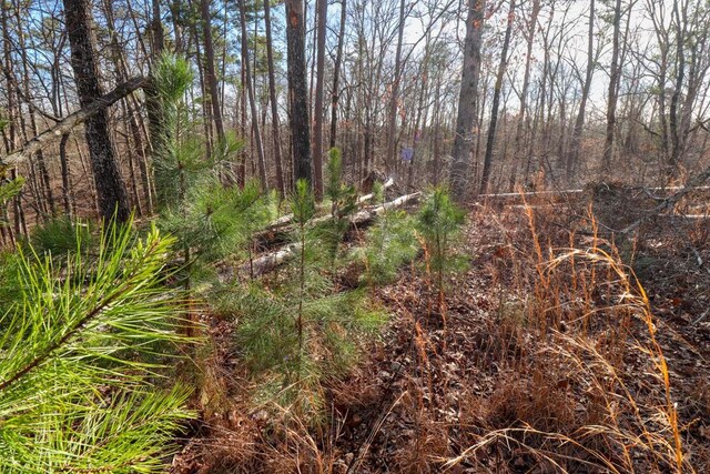000 County Road 179, Dora, MO 65637 - photo 23