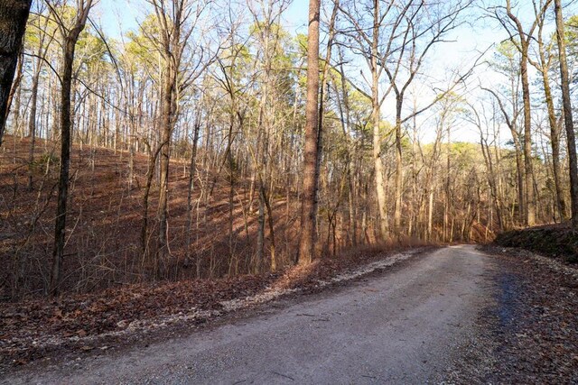 000 County Road 179, Dora, MO 65637 - photo 63
