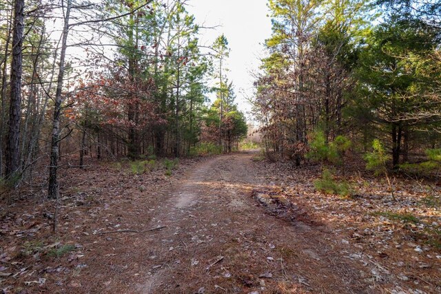 000 County Road 179, Dora, MO 65637 - photo 59