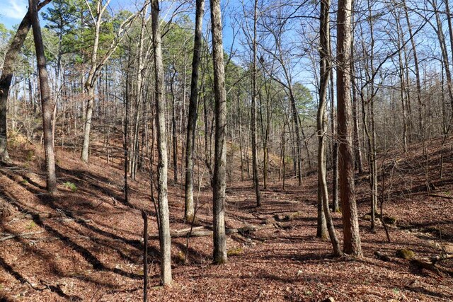 000 County Road 179, Dora, MO 65637 - photo 26