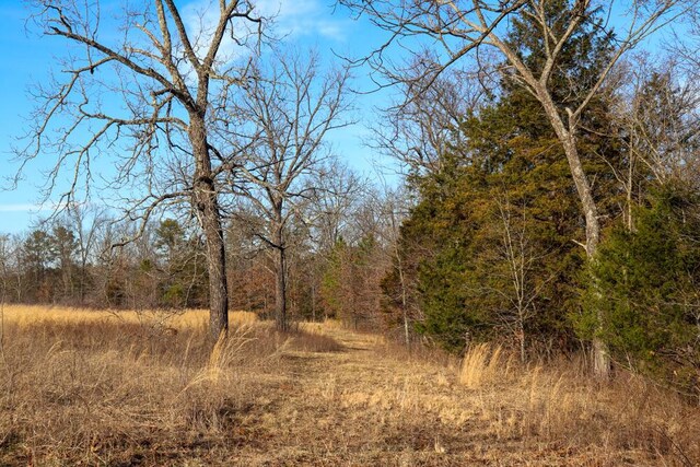 000 County Road 179, Dora, MO 65637 - photo 55