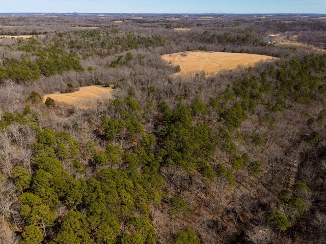 000 County Road 179, Dora, MO 65637 - photo 7