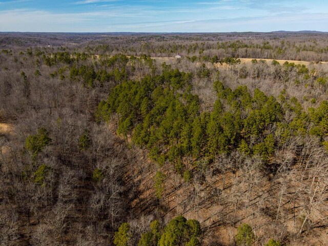 000 County Road 179, Dora, MO 65637 - photo 10