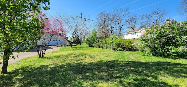 view of yard