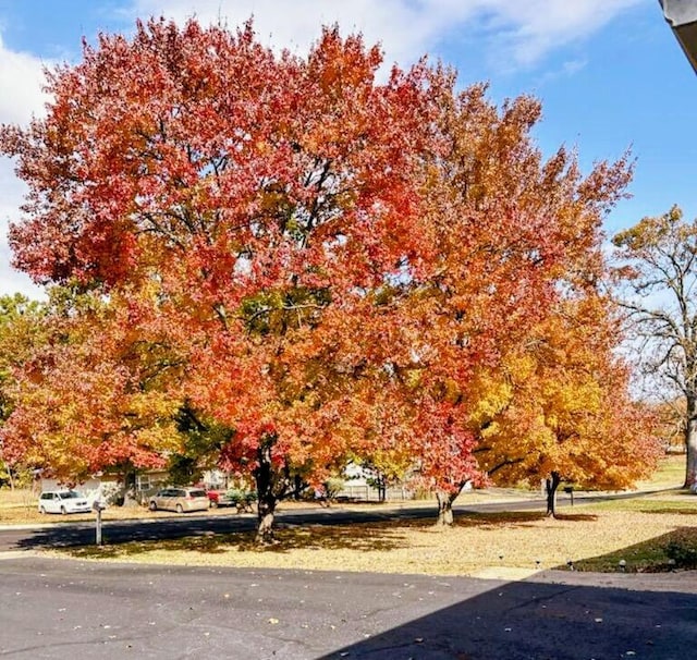 view of property's community