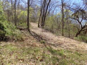 000 Paradise Ln, Pineville, MO 64856