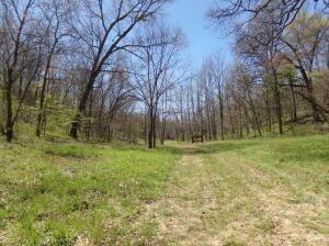 000 Paradise Ln, Pineville, MO 64856