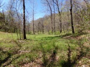 000 Paradise Ln, Pineville, MO 64856