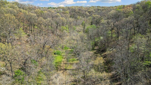 000 Paradise Ln, Pineville, MO 64856