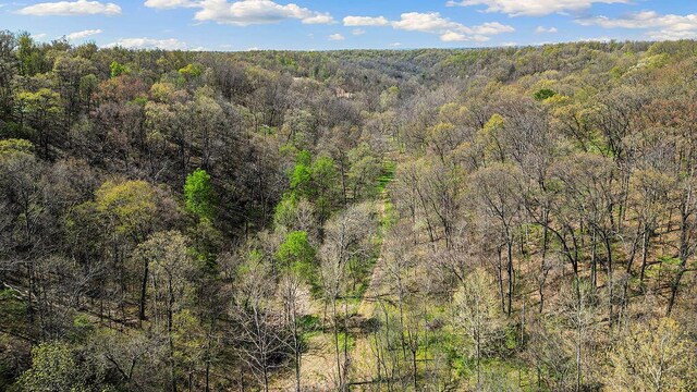 000 Paradise Ln, Pineville, MO 64856