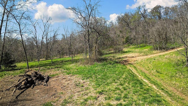 000 Paradise Ln, Pineville, MO 64856