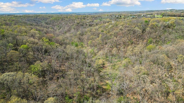 000 Paradise Ln, Pineville, MO 64856