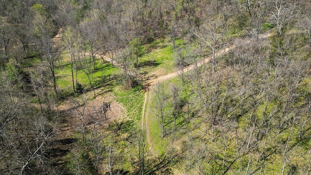 000 Paradise Ln, Pineville, MO 64856