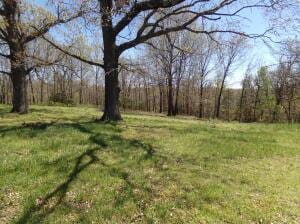 000 Paradise Ln, Pineville, MO 64856
