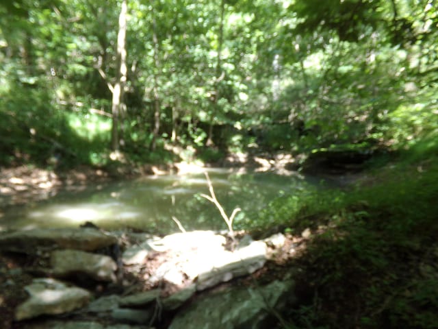000 Paradise Ln, Pineville, MO 64856