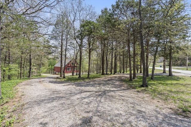 view of road featuring gravel driveway
