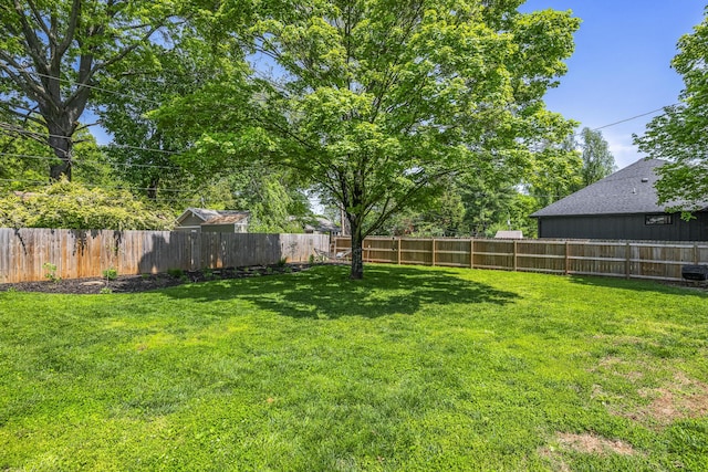 view of yard featuring a fenced backyard