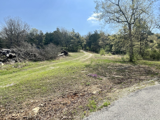 155 Lake Terrace Rd, Kissee Mills, MO 65680