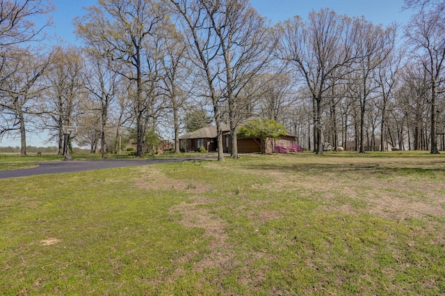 625 Parkwood Dr, Mount Vernon, MO 65712 - view of yard with driveway